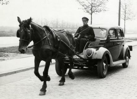 horse pulling car